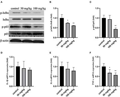 Rutin Supplementation Reduces Oxidative Stress, Inflammation and Apoptosis of Mammary Gland in Sheep During the Transition Period